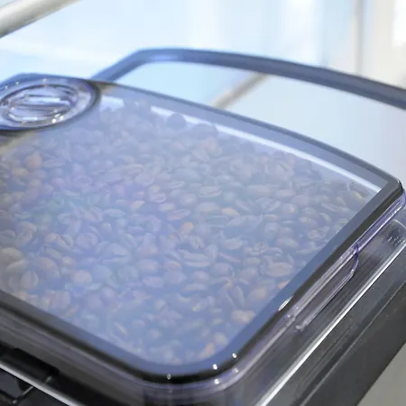 B&B Trieste Plus Отель типа 